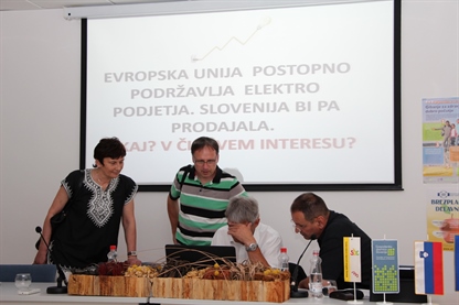 Regionalni posveti SDE o prihodnosti energetike
