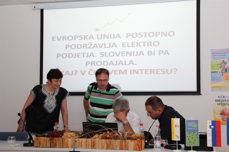 Regionalni posveti SDE o prihodnosti energetike