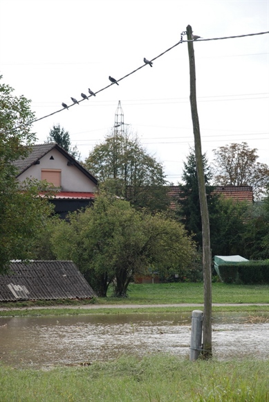 Nočno neurje povzročilo več izpadov električne energije