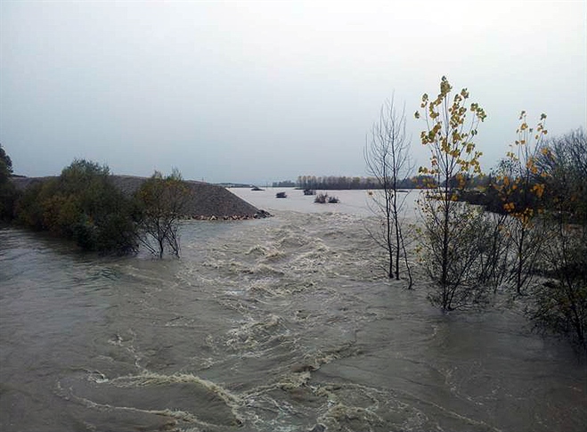 Novembra močan porast vodostaja reke Save