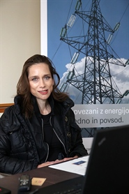 V Elektru Ljubljana končali projekt ICT4EVEU
