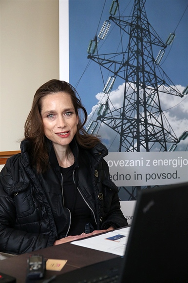 V Elektru Ljubljana končali projekt ICT4EVEU