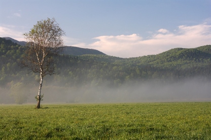 Državni zbor potrdil Pariški sporazum