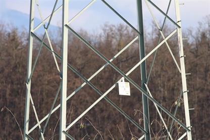 Uspešno investicijsko leto v družbi Elektro Gorenjska