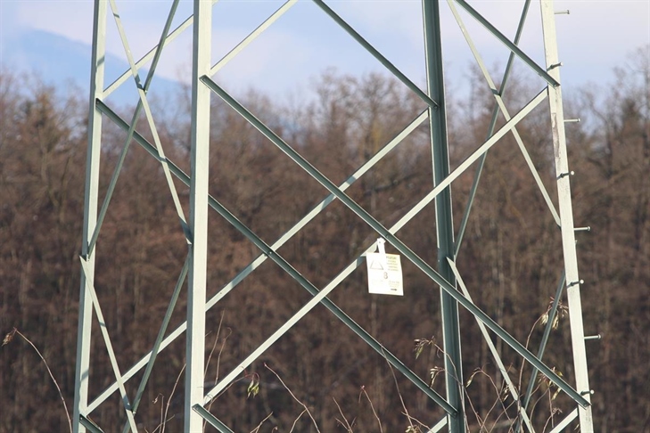 Uspešno investicijsko leto v družbi Elektro Gorenjska