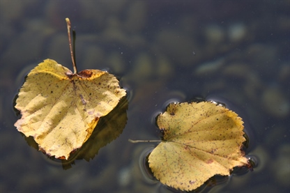 Sprejeli letno poročilo Eko sklada