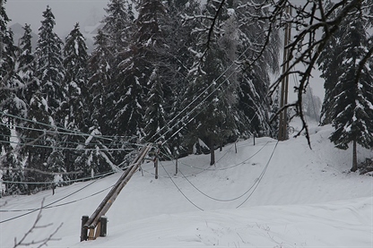Sneg in veter povzročala težave pri oskrbi z elektriko