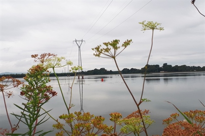 Skrb za objekte na Dravi je trajna naloga Dravskih elektrarn