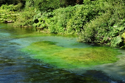 Hidroelektrarne junija nad pričakovanji