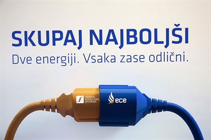 ECE del upravnega odbora Energetske zbornice Slovenije