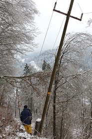 Zaradi zapadlega snega na Koroškem motena dobava električne energije