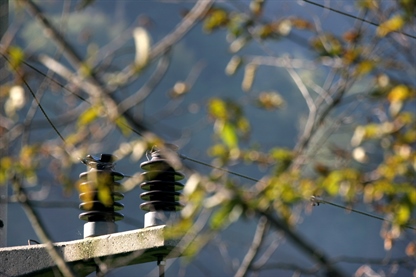 Cene elektrike in plina v EU v drugi polovici leta 2021 krepko navzgor