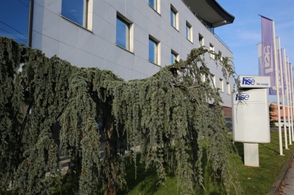 V HSE pozdravljajo smernice akcijskega načrta REPowerEU glede pospešitve postopkov umeščanja v prostor