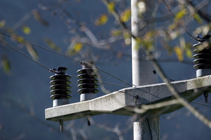 Število menjav dobavitelja elektrike lani najmanjše doslej
