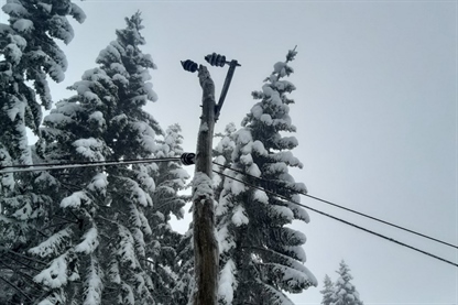 Zaradi obilnega sneženja tudi izpadi daljnovodov
