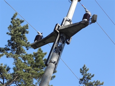 Zaradi nevihte na Primorskem težave pri oskrbi z elektriko