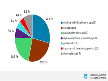 Neto domača poraba energije je bila v letu 2021 višja