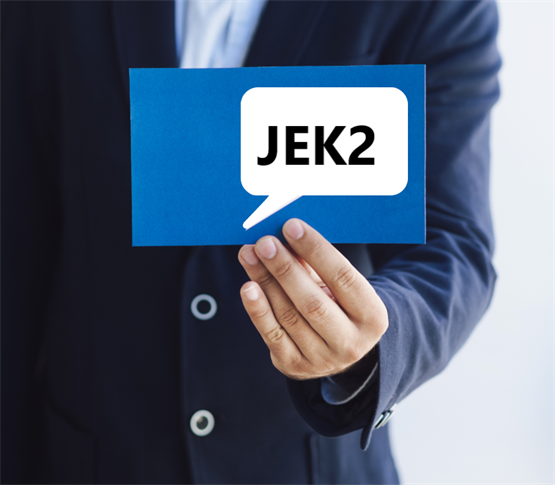 Odzivi na poenotenje politike glede jedrske prihodnosti države
