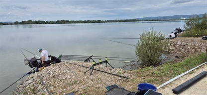 Svetovno prvenstvo v klubskem ribolovu na reki Savi nad HE Brežice