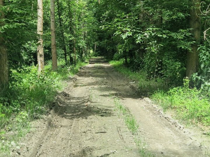 Popravilo priljubljene poti ob Strugi v Vrbini