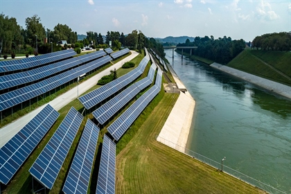 Zelena luč za sončni elektrarni Zlatoličje-Formin