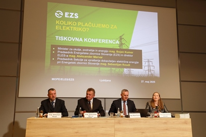 Koliko v resnici plačujemo za elektriko?