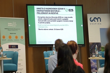 Anketa EZS: Polovica energetskih podjetij ima težave z zagotavljanjem kadra na ključnih delovnih mestih